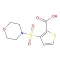 3-(吗啉-4-基磺酰基)噻吩-2-羧酸
