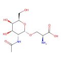 Tn Antigen