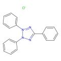 TTC染色液 (1%)