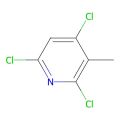2,4,6-Trichloro-3-methylpyridine