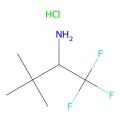 1,1,1-Trifluoro-3,3-dimethylbutan-2-amine hydrochloride