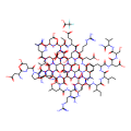 Urocortin,大鼠