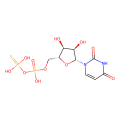UDP-β-S