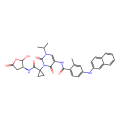 uracil 20