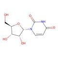 1-(a-D-ribofuranosyl)uracil