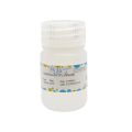 UltraPure dGTP (100mM)