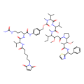 Vc-MMAD,用于偶联抗体