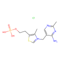 一磷酸维生素B1氯化物