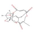 Verrucarin J