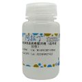 WB抗体快速剥离缓冲液（温和通用型）