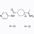 Y-27632 dihydrochloride