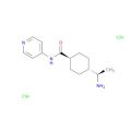 Y-27632 2HCl
