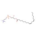 1-(9Z,12Z-octadecadienoyl)-sn-glycero-3-phosphocholine