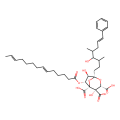 zaragozic acid B