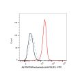 Mirvetuximab (anti-FOLR1)