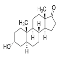 雄酮