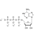 ATP-γ-S,激酶底物