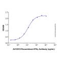 Recombinant IFNγ Antibody