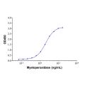 Myeloperoxidase Mouse mAb