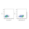 CD2 Mouse mAb