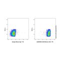 CD48 Mouse mAb