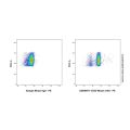 CD33 Mouse mAb