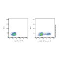 CD57 Mouse mAb