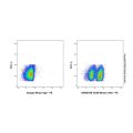 CD28 Mouse mAb