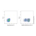 CD45RA Mouse mAb