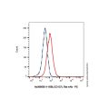 4-1BBL/CD137L Rat mAb