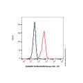 BCMA/CD269 Mouse mAb