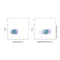 CD11a Rat mAb