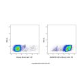 CD11a Mouse mAb