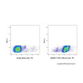 CD11a Mouse mAb