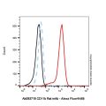 CD11b Rat mAb