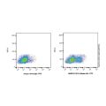CD11c Mouse mAb