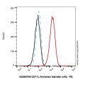 CD11c Armenian Hamster mAb