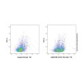 CD127 Rat mAb