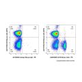CD19 Mouse mAb