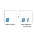 CD19 Mouse mAb
