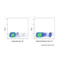 Iscalimab (anti-CD40)