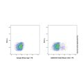 CD23 Mouse mAb