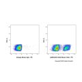 CD24 Mouse mAb