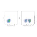 CD3 Mouse mAb