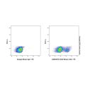 CD32 Mouse mAb
