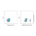 CD37 Mouse mAb