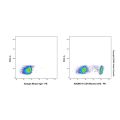 CD4 Mouse mAb