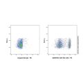 CD4 Rat mAb