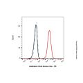 CD43 Mouse mAb