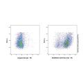 CD44 Rat mAb